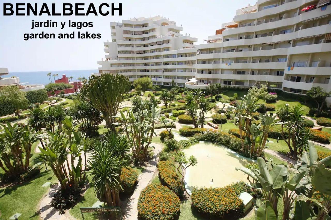 Estudio Benalbeach Primera Linea De Playa 贝纳尔马德纳 外观 照片